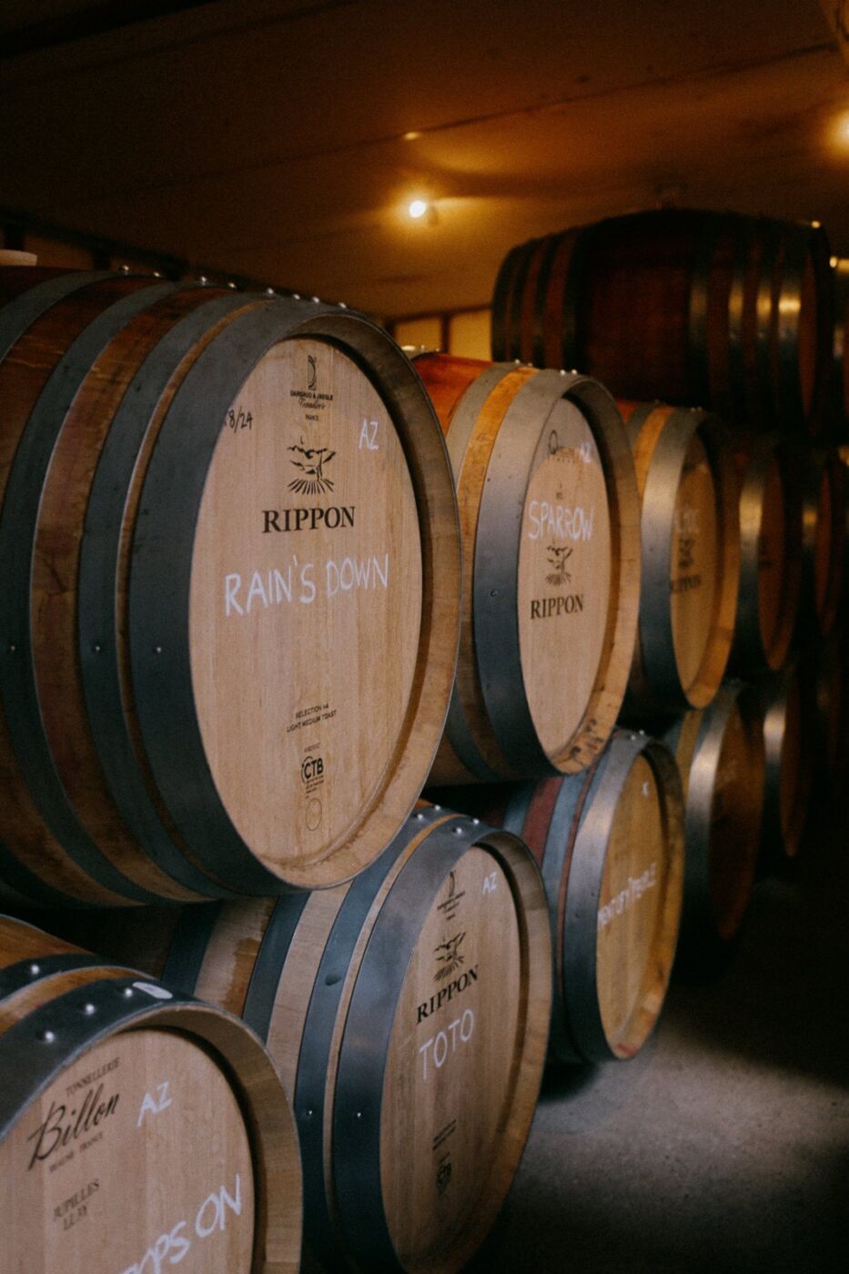French oak barrels in the Rippon barrel room, chalked with the names Rain's Down, Sparrow and Toto