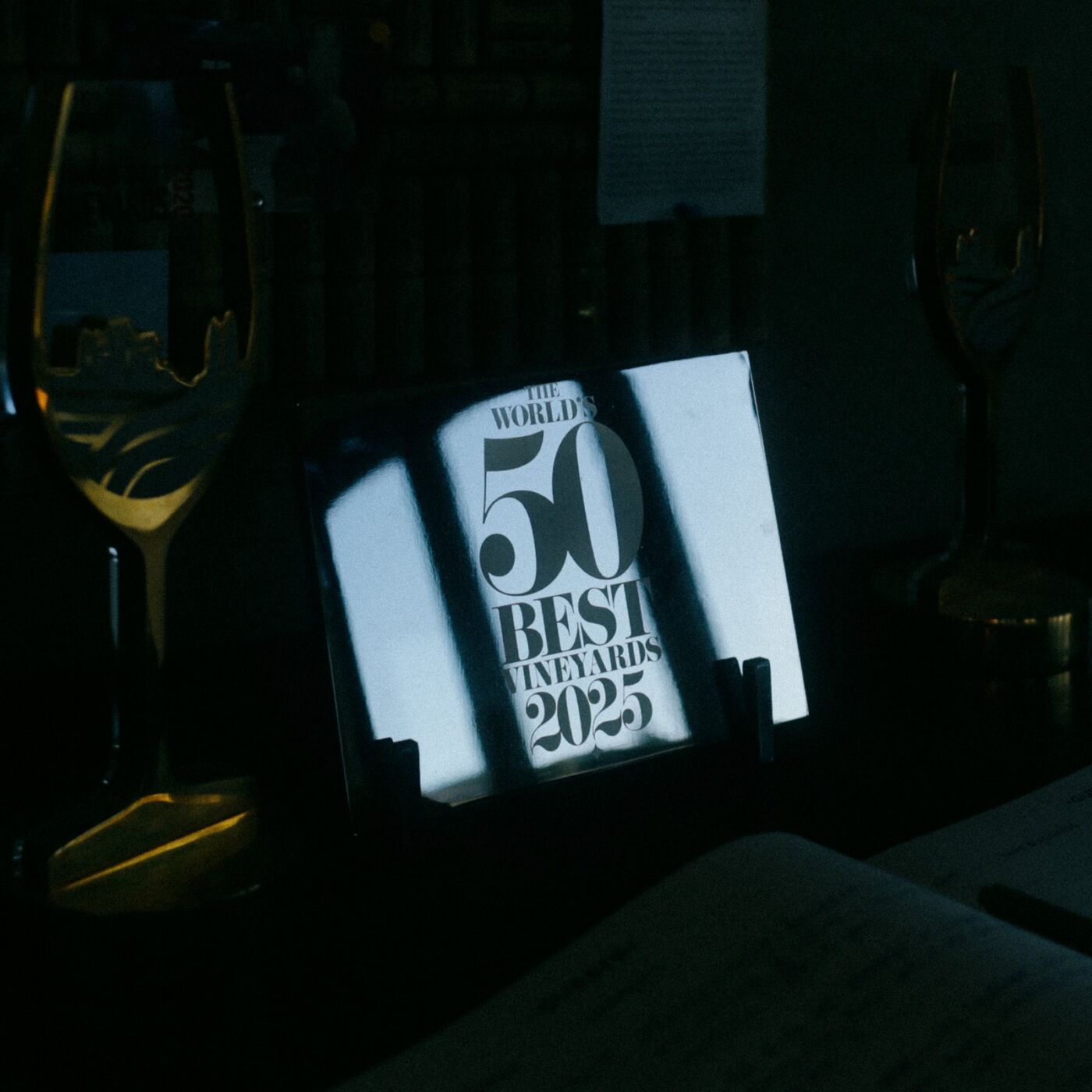 A World's 50 Best Vineyards 2025 plaque catching a shaft of light in a dark corner of the cellar door, flanked by two trophies in shadow