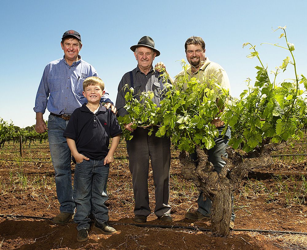 Hoffmann Family Vineyards wines at Bar Septimus, Adelaide